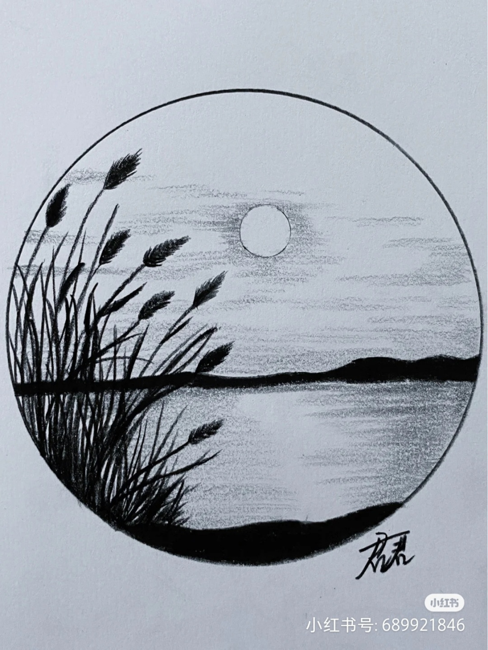 夕阳下的芦苇荡| 背景颜色可以变(29°3°29) 参考图是中的黑白画