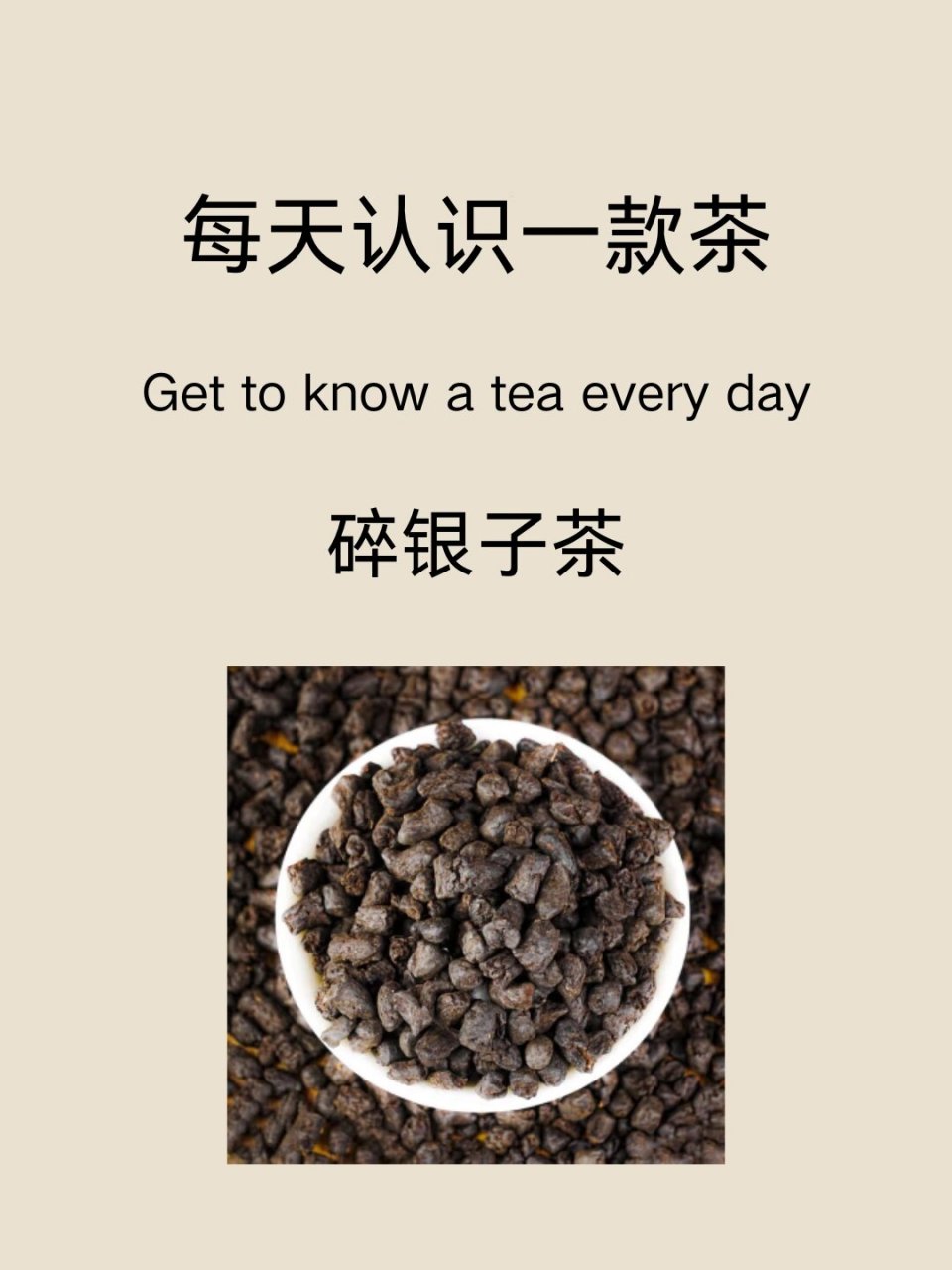 每天认识一款茶—碎银子茶 碎银子茶介绍 碎银子茶,又称银子茶,是一种