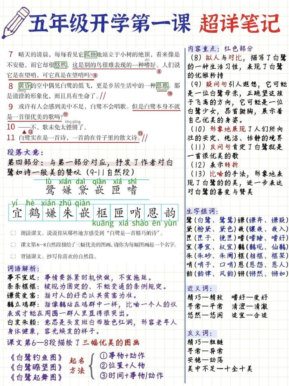 小学语文第一课97《白鹭》超全学霸笔记 96新学期马上开学五年级
