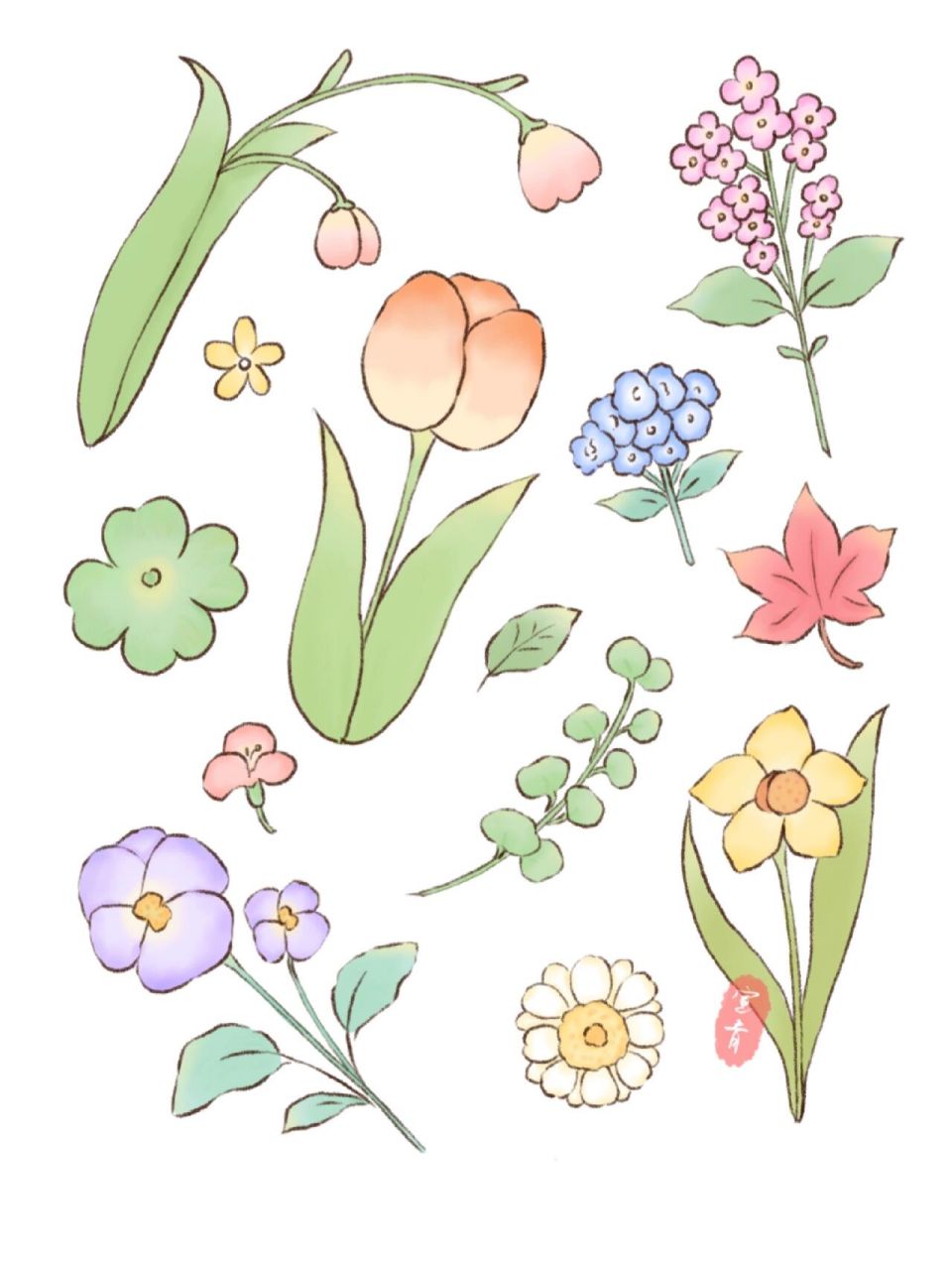 宣青插画|春天花草合集 春天就是要画花花🌸