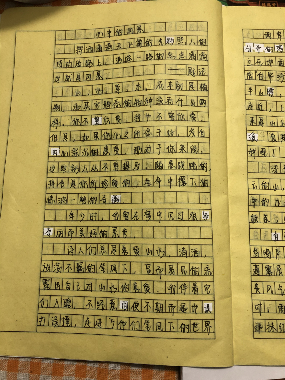 心中的风景作文 初二