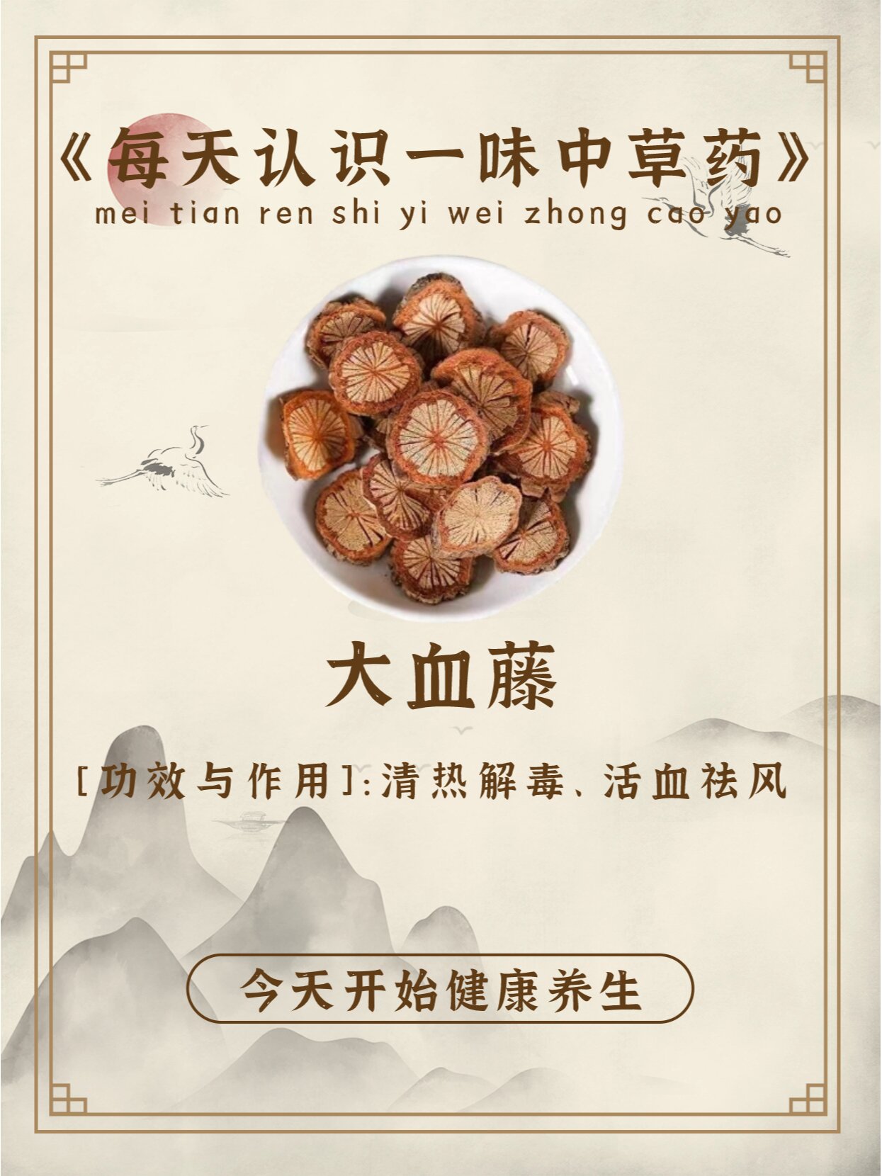 91中药名:大血藤 91别名:血藤,红皮藤,活血藤,红藤,大活血,山红藤