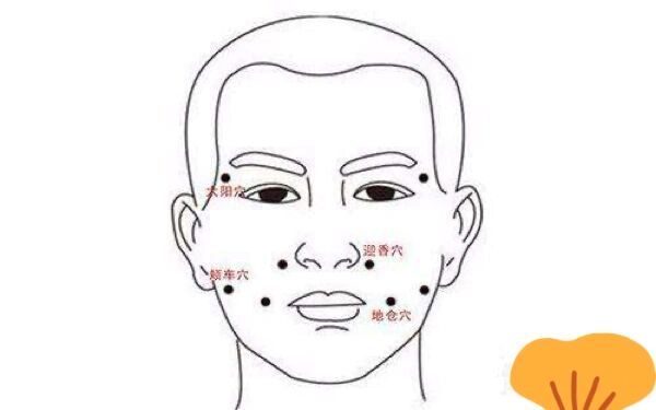 倪海厦 | 面部中风(面瘫)地仓透颊车