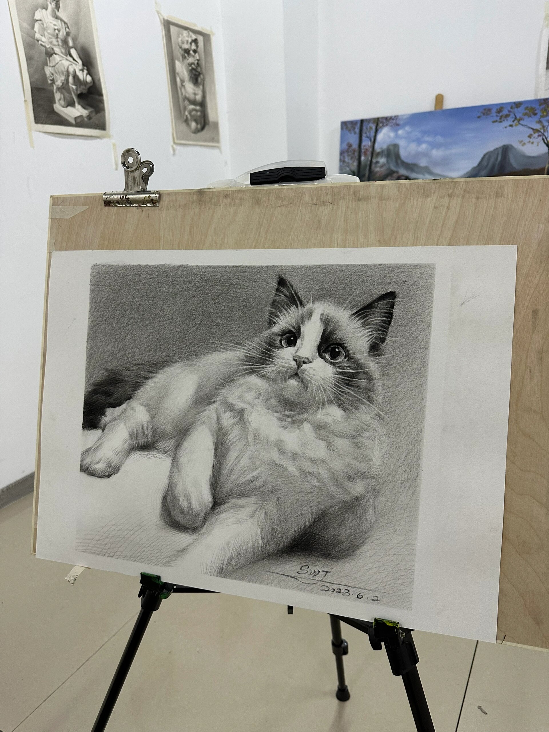 素描小猫