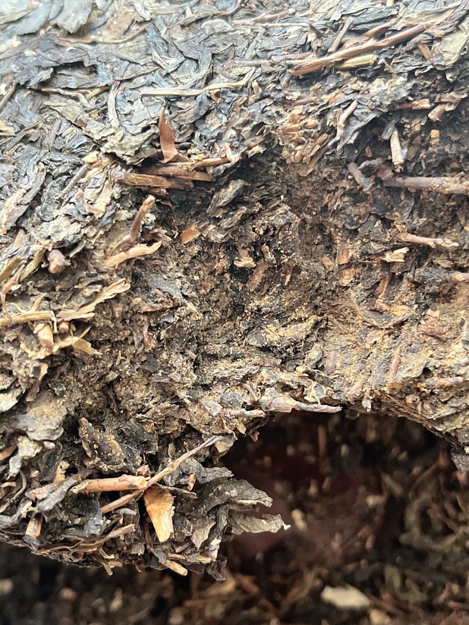 懂茶的朋友帮我看看这茶叶是生虫了吗? 这茶还能喝吗?