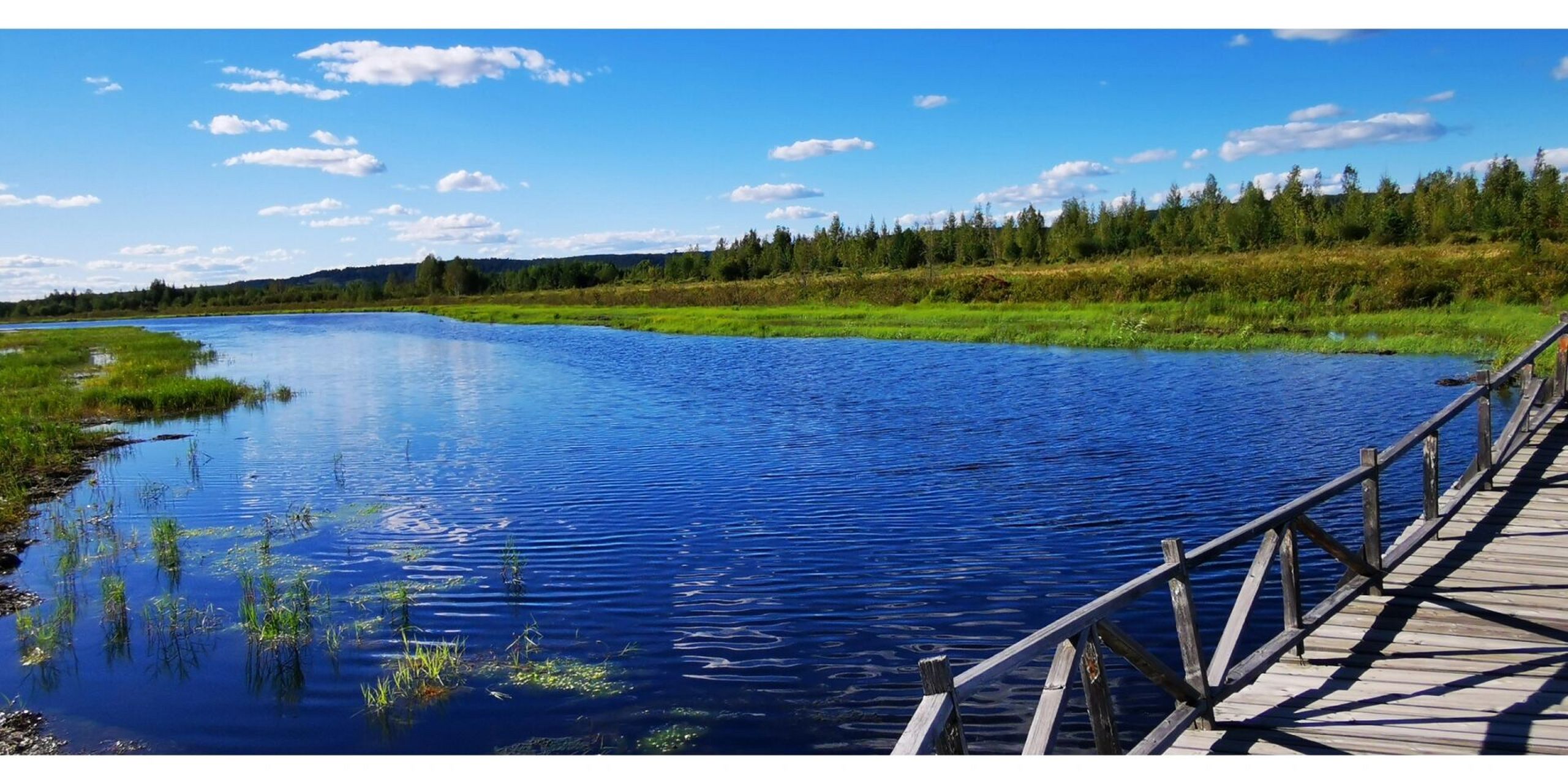 漠河北极村,夏天马上来咯 夏天的漠河北极村肯定不是只有打卡点,有