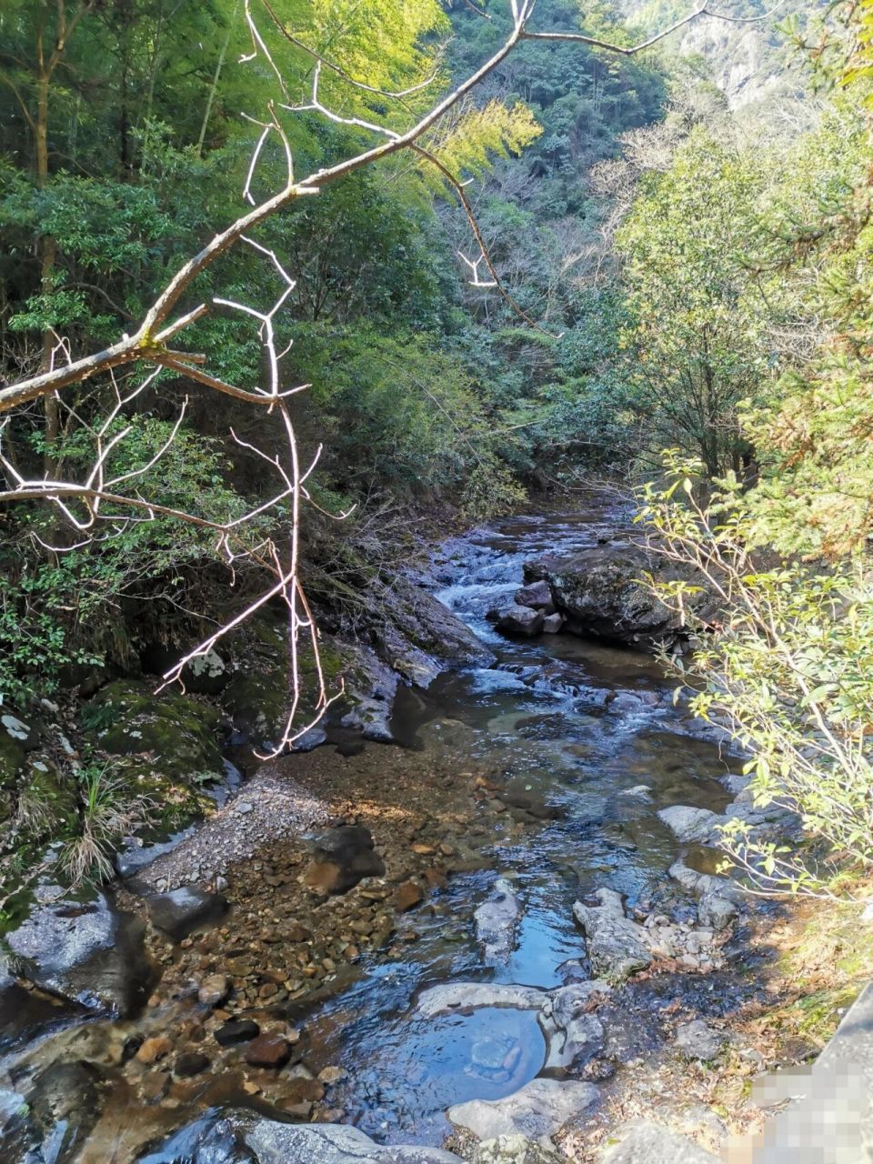 衢江药王山图片