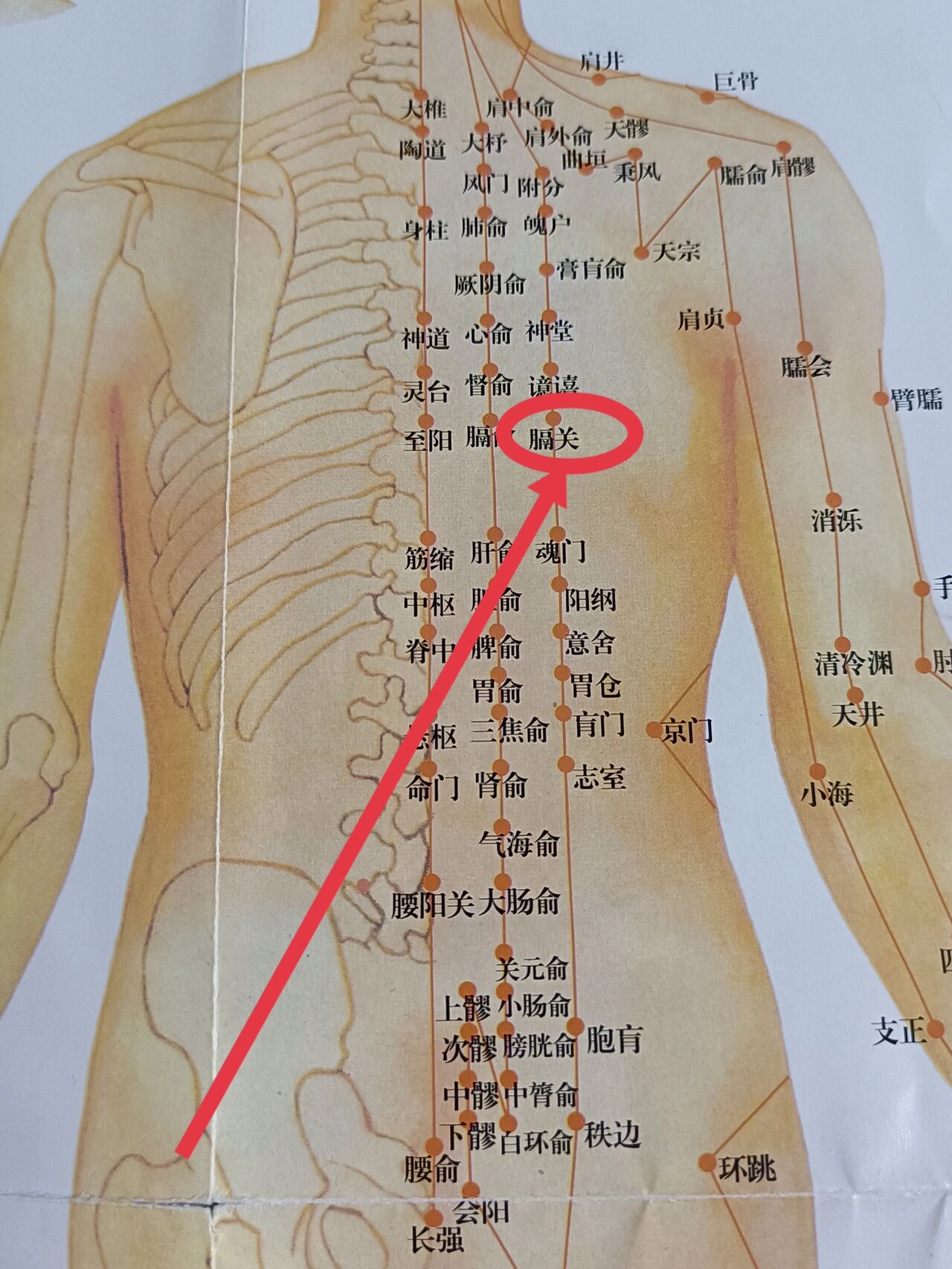 每一一按养生保健 949494