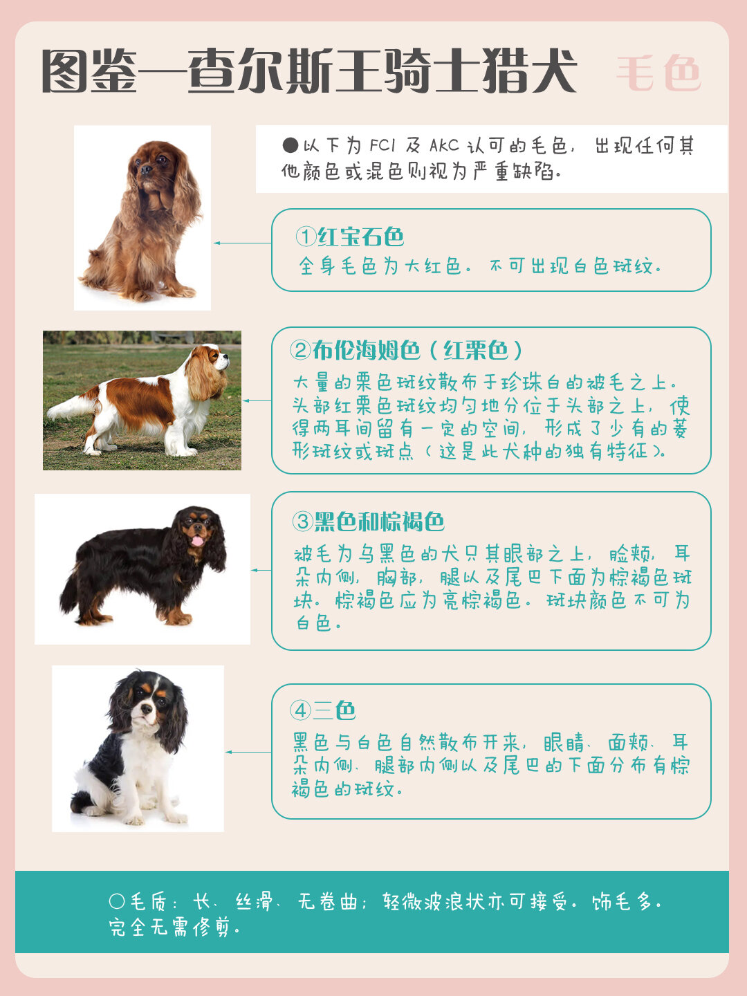 犬种图鉴—骑士查理士王猎犬(出身贵族) ★历史起源★(详见图7-8) 从