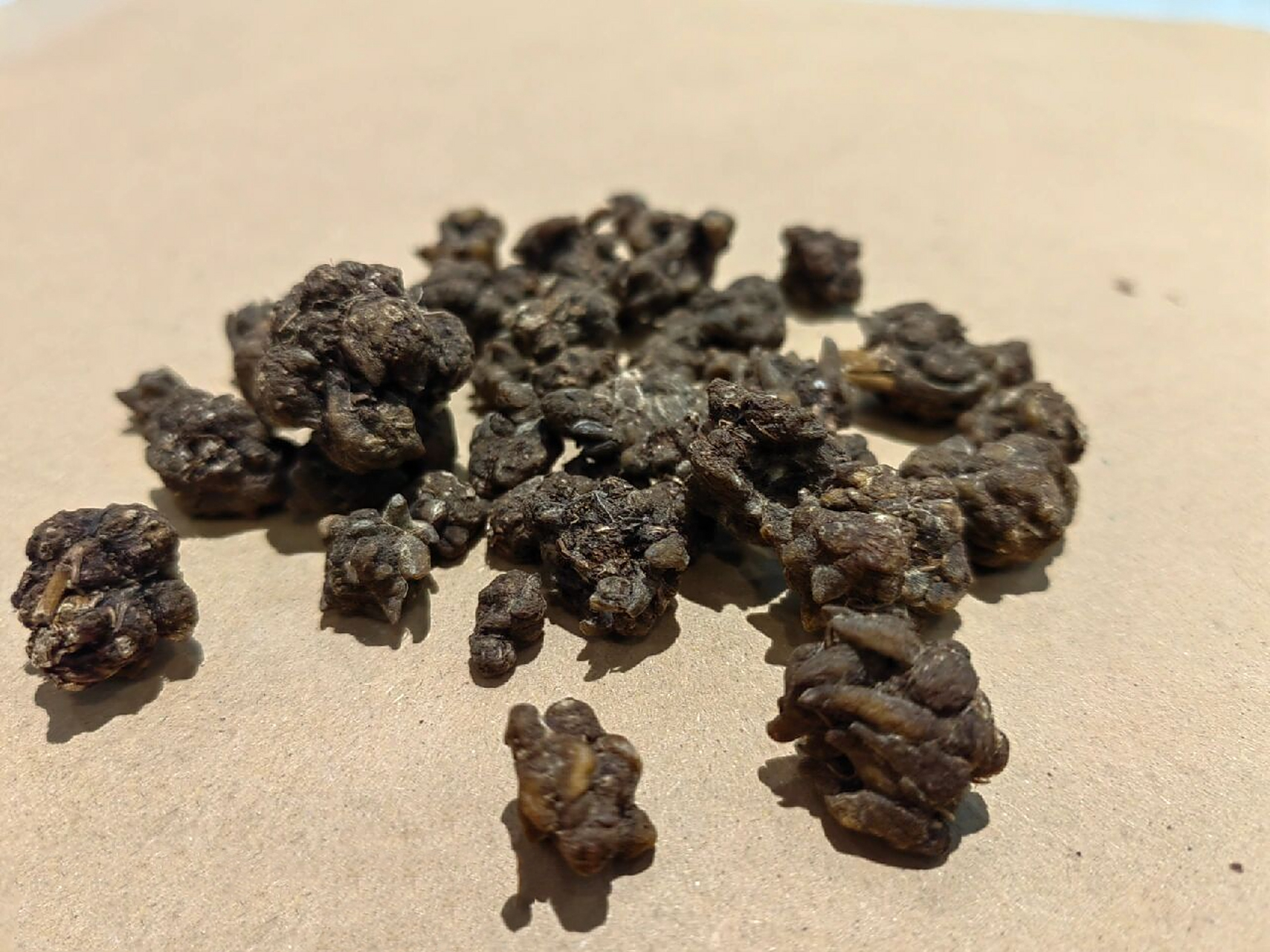 每日了解一味中药-猫爪草【温化寒痰药】 猫爪草 出处:《中药材手册》