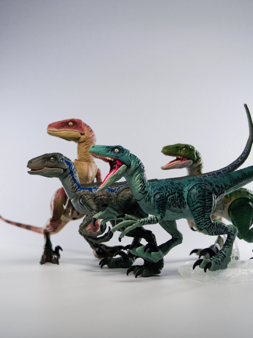 好价收到一只查理,终于是凑齐了心心念念的迅猛龙小队!