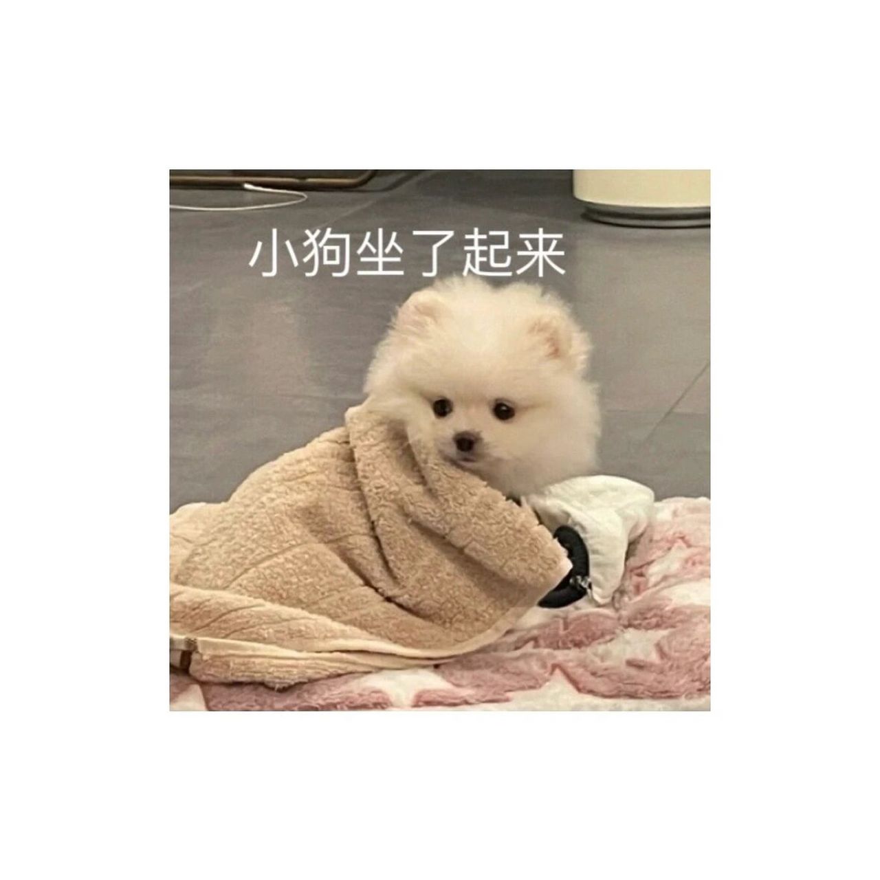最近好喜欢用这个表情包啊06谁懂 有一种如梦初醒睡眼朦胧迷迷糊糊