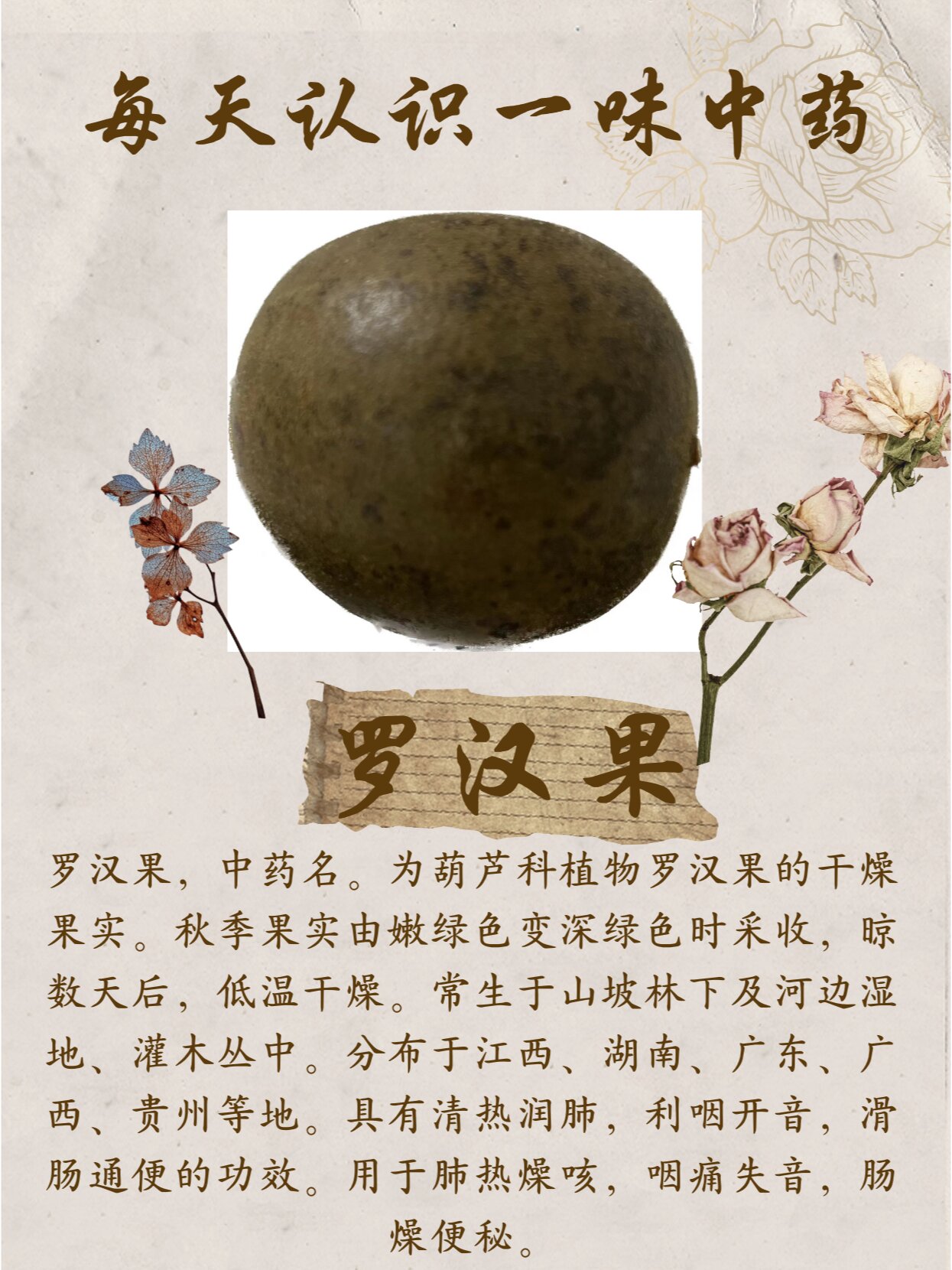 每天认识一味中药——罗汉果
