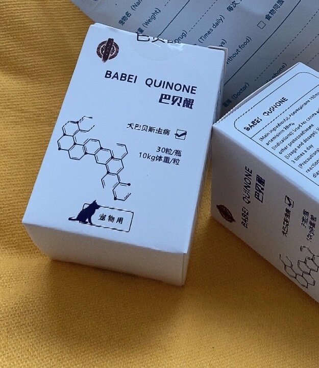 狗狗吉氏巴贝斯虫病后三氮脒中毒 开始的前几天狗狗精神状态以及食欲