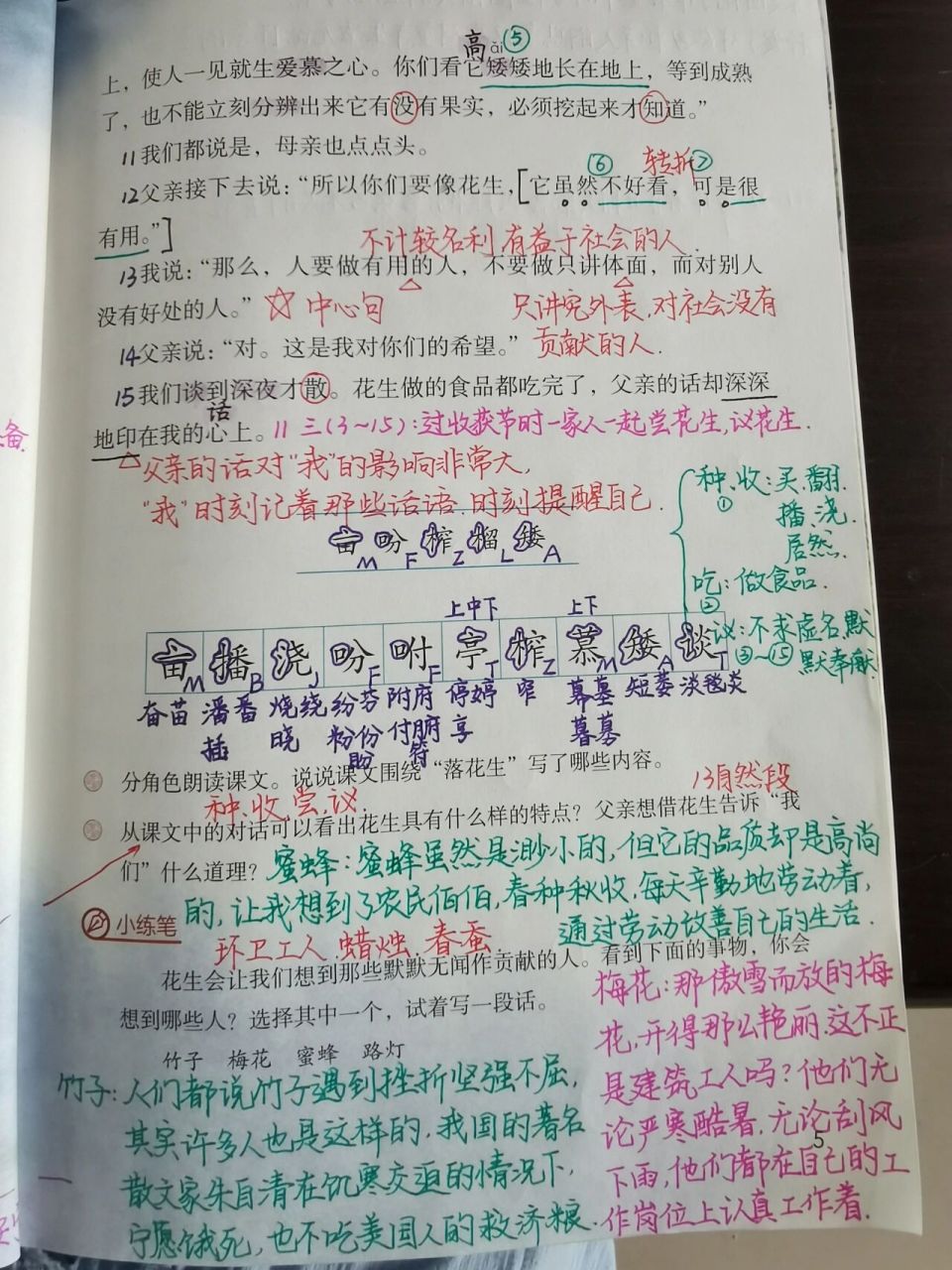 部编五年级下语文教案笔记第二课《落花生》 红笔圆圈多音字 黑笔句子