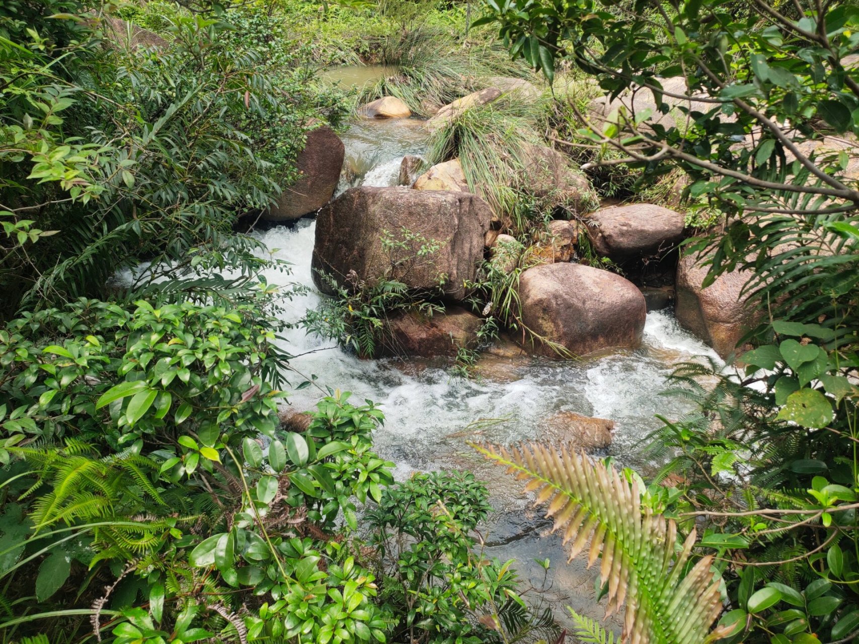 珠海斗门黄杨山旅游（斗门区黄杨山登山

步道）《斗门黄杨山登山入口》