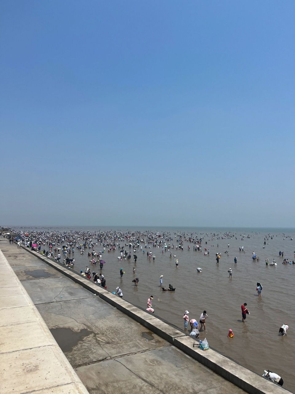 天津东疆亲海公园一日游～赶海带娃 突然在端午节找一天去赶海 从北京
