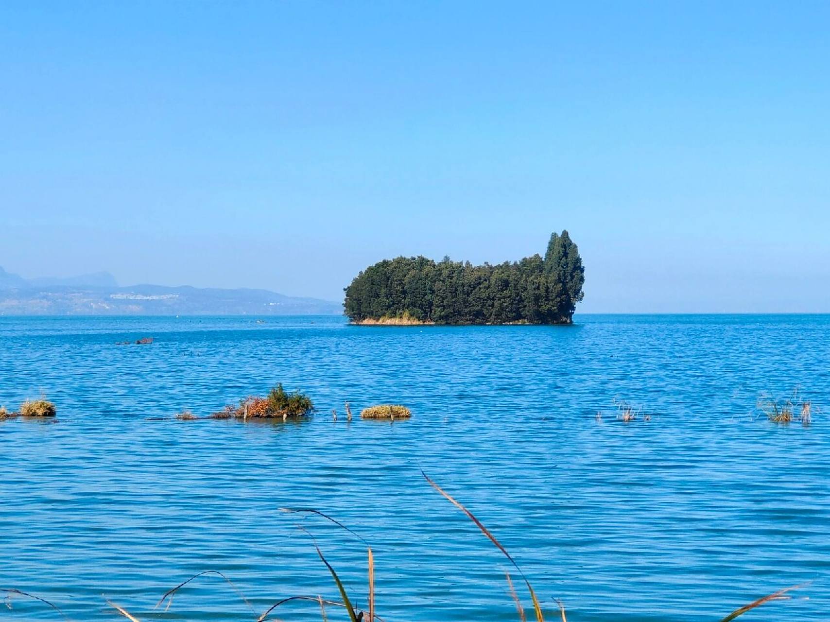 打卡晋宁鲸鱼岛95 1.