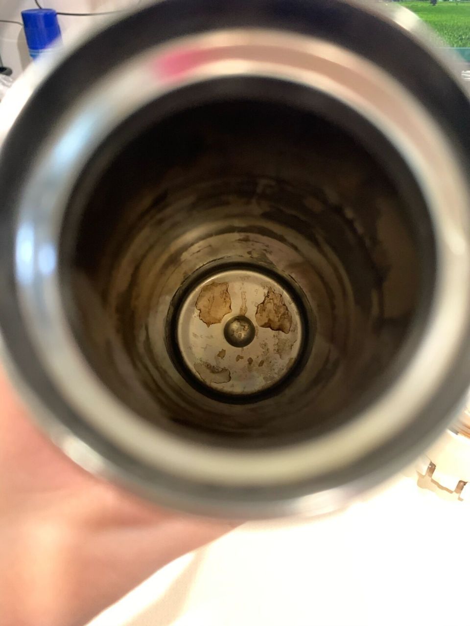 求助06茶杯茶渍怎么去除0707膳魔师保温杯 这两天