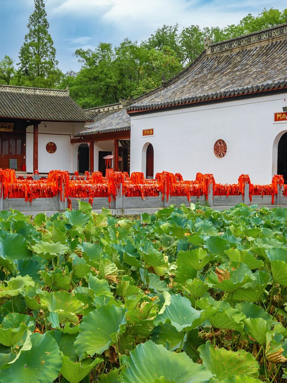 我来到了湖北当阳的玉泉寺,这个地方真的是太美了,宛如人间仙境!