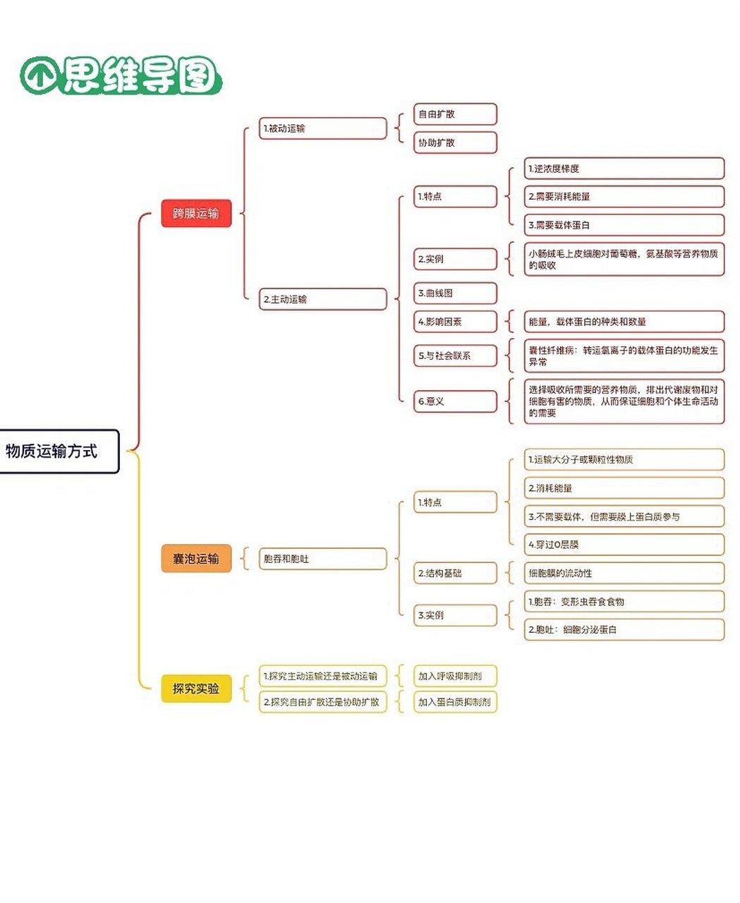 被动运输,主动运输和胞吞胞吐思维导图