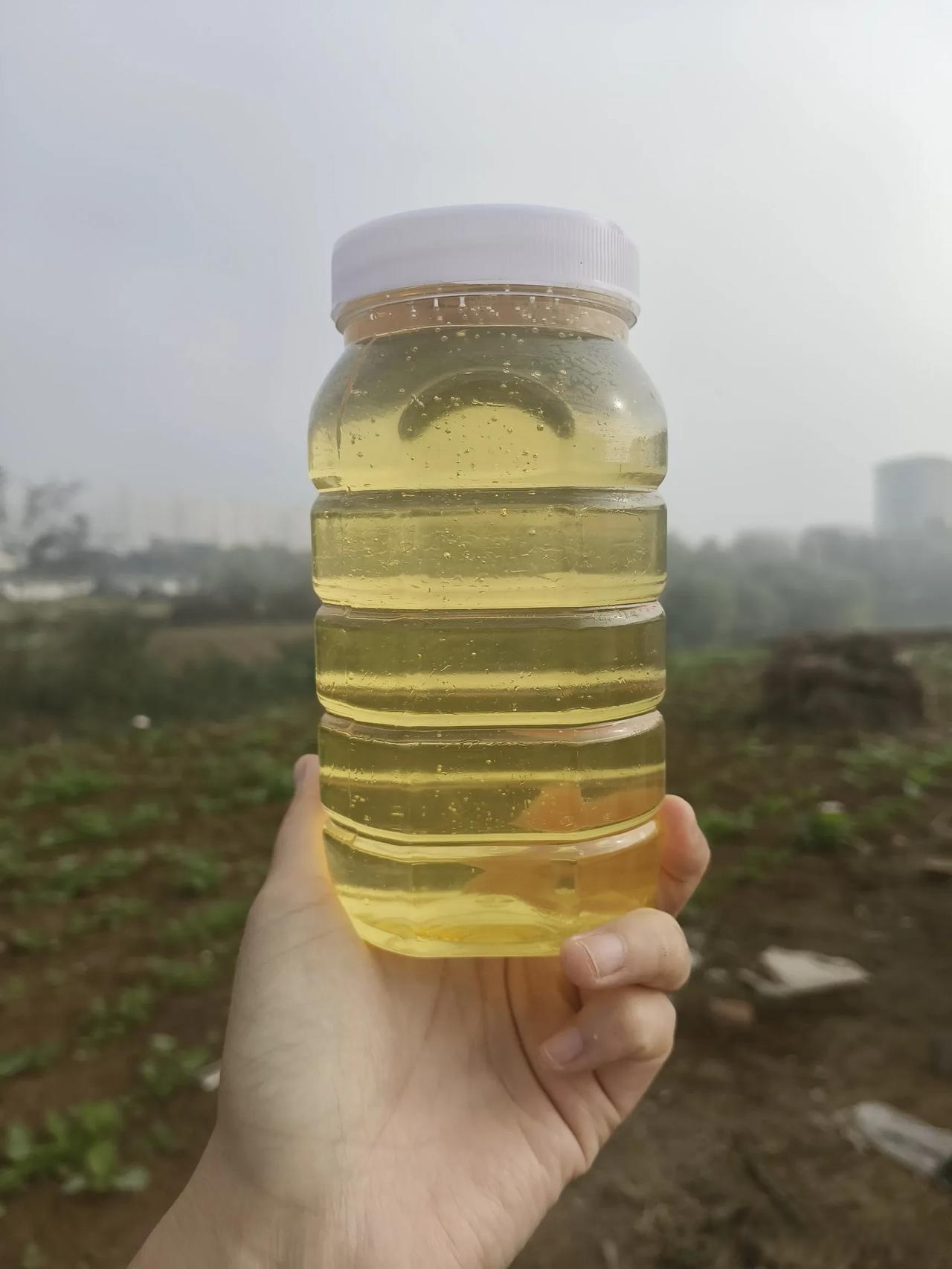 自家养的蜂蜜可以直接吃吗有毒吗视频(自家养的蜂蜜可以直接吃吗有毒吗视频讲解)