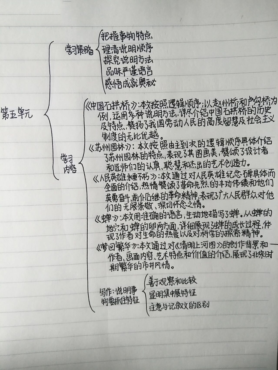 八上语文第五单元思维导图 八上语文第五单元思维导图