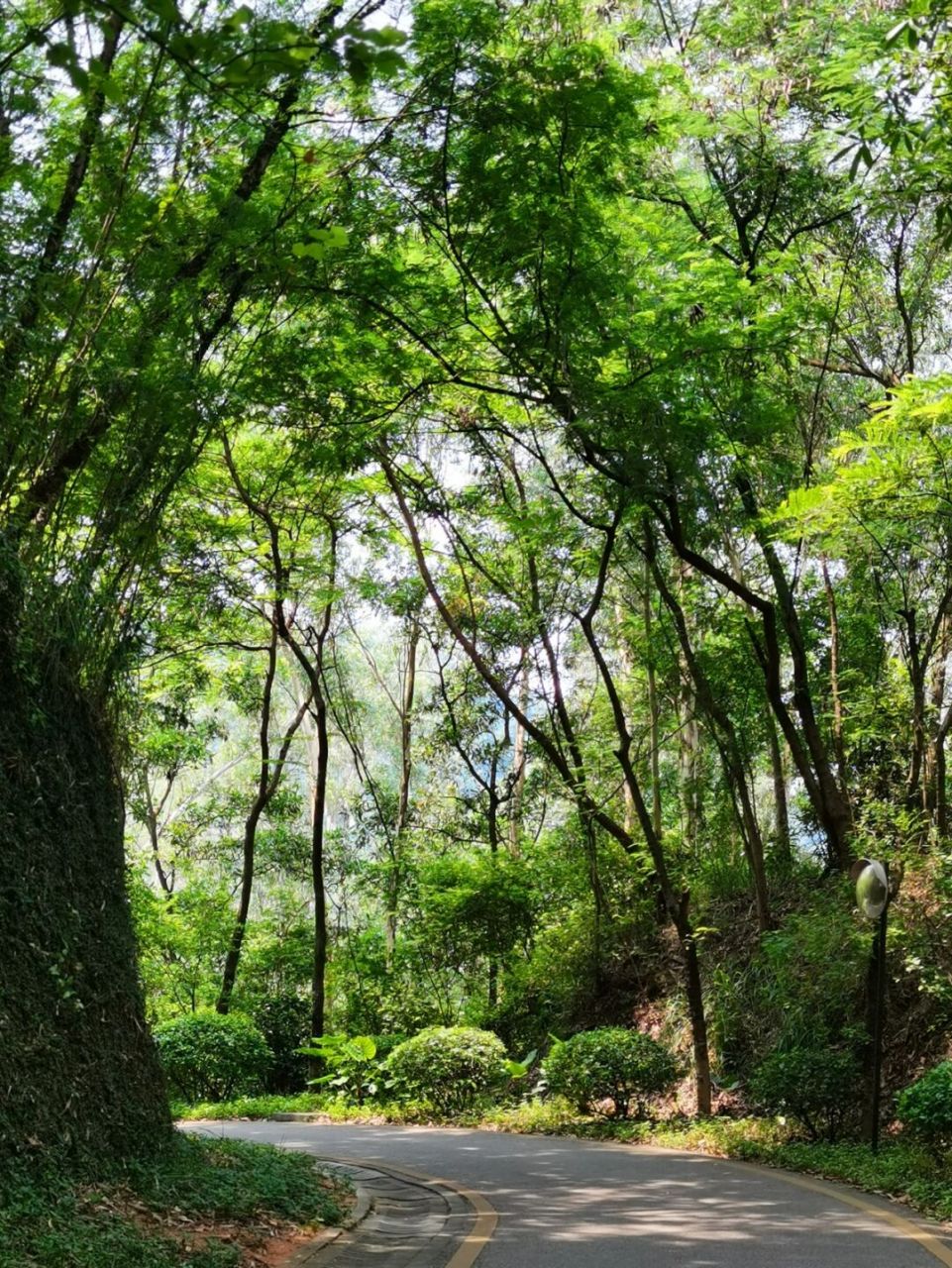 (平峦山公园)有
