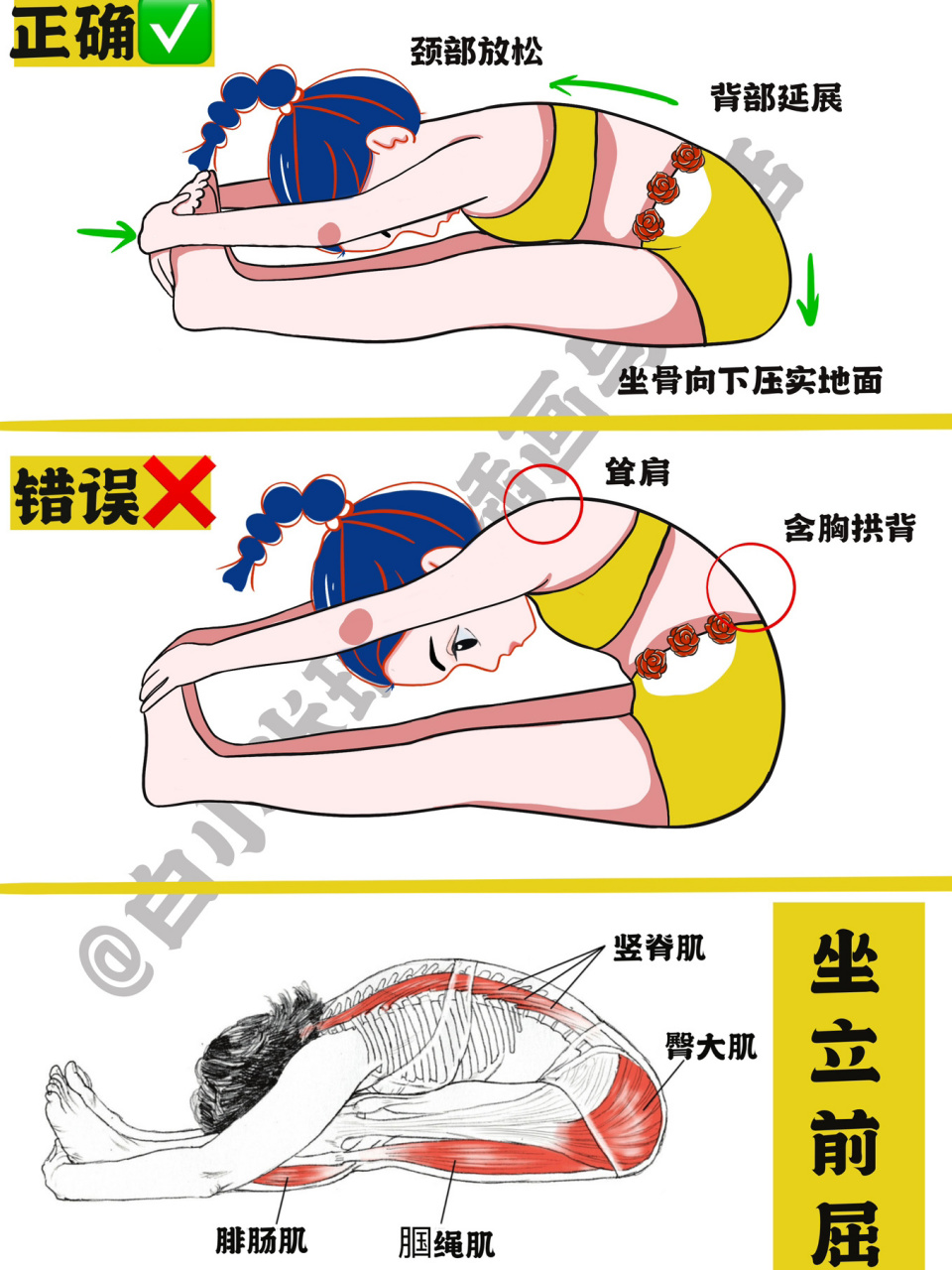 瑜伽坐前屈体式图图片