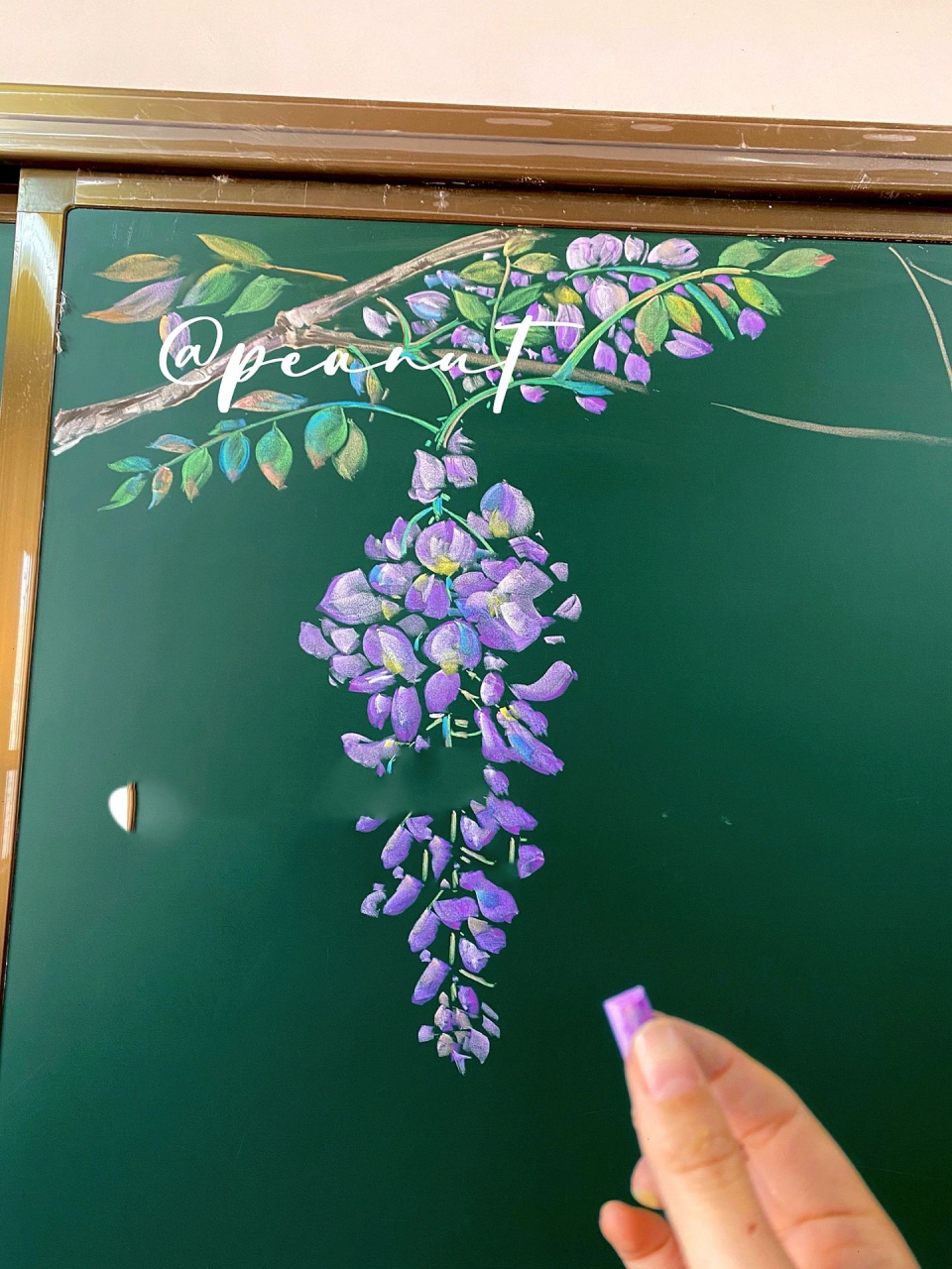 黑板画 | 紫藤花 紫藤挂云木,花蔓宜阳春 虽然季节已经过了,但还是