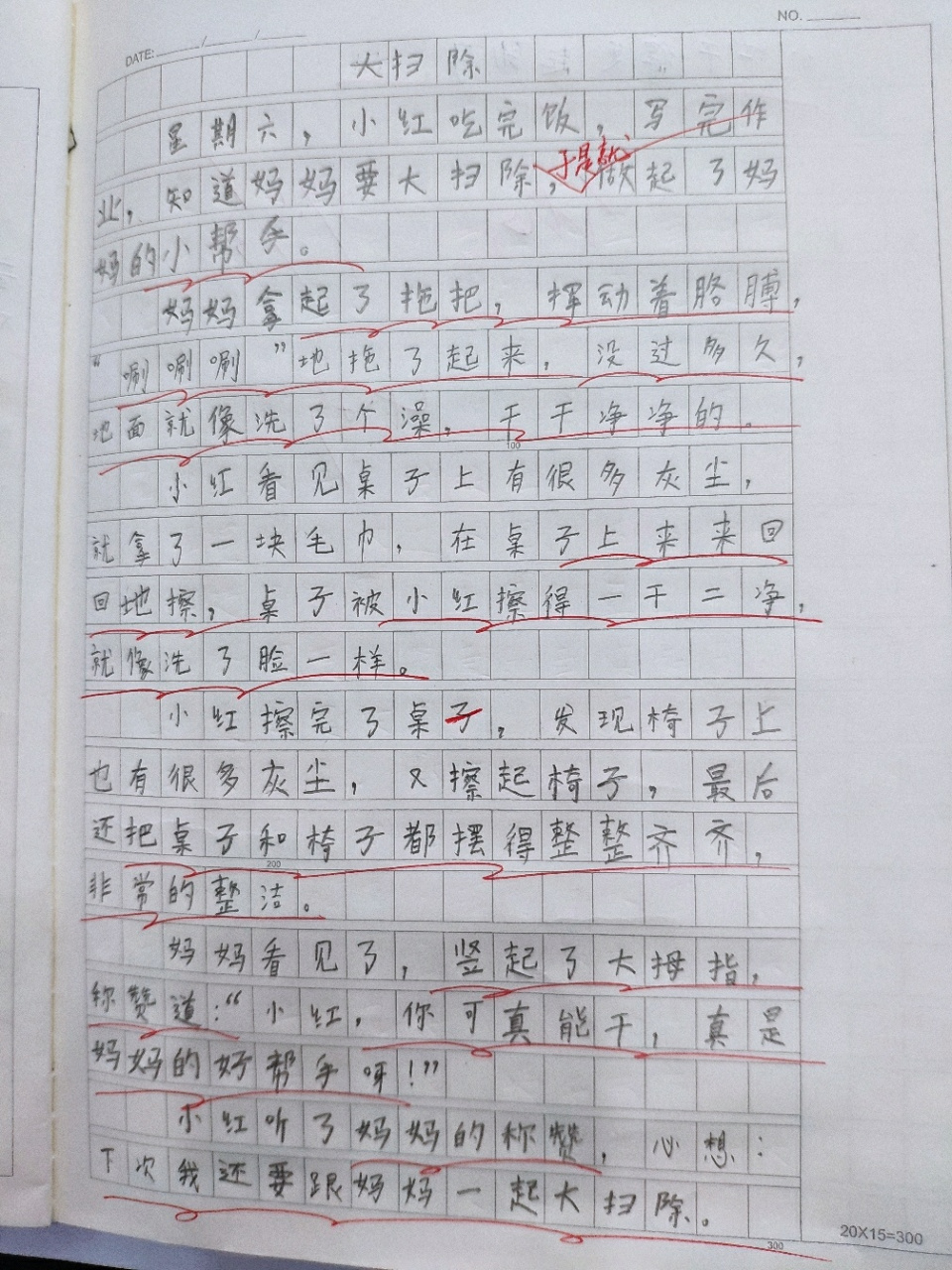 二年级学员高分作文《大扫除》