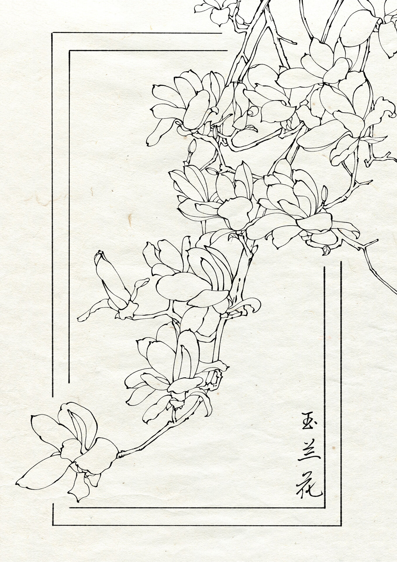 白描工笔画线稿(100/16