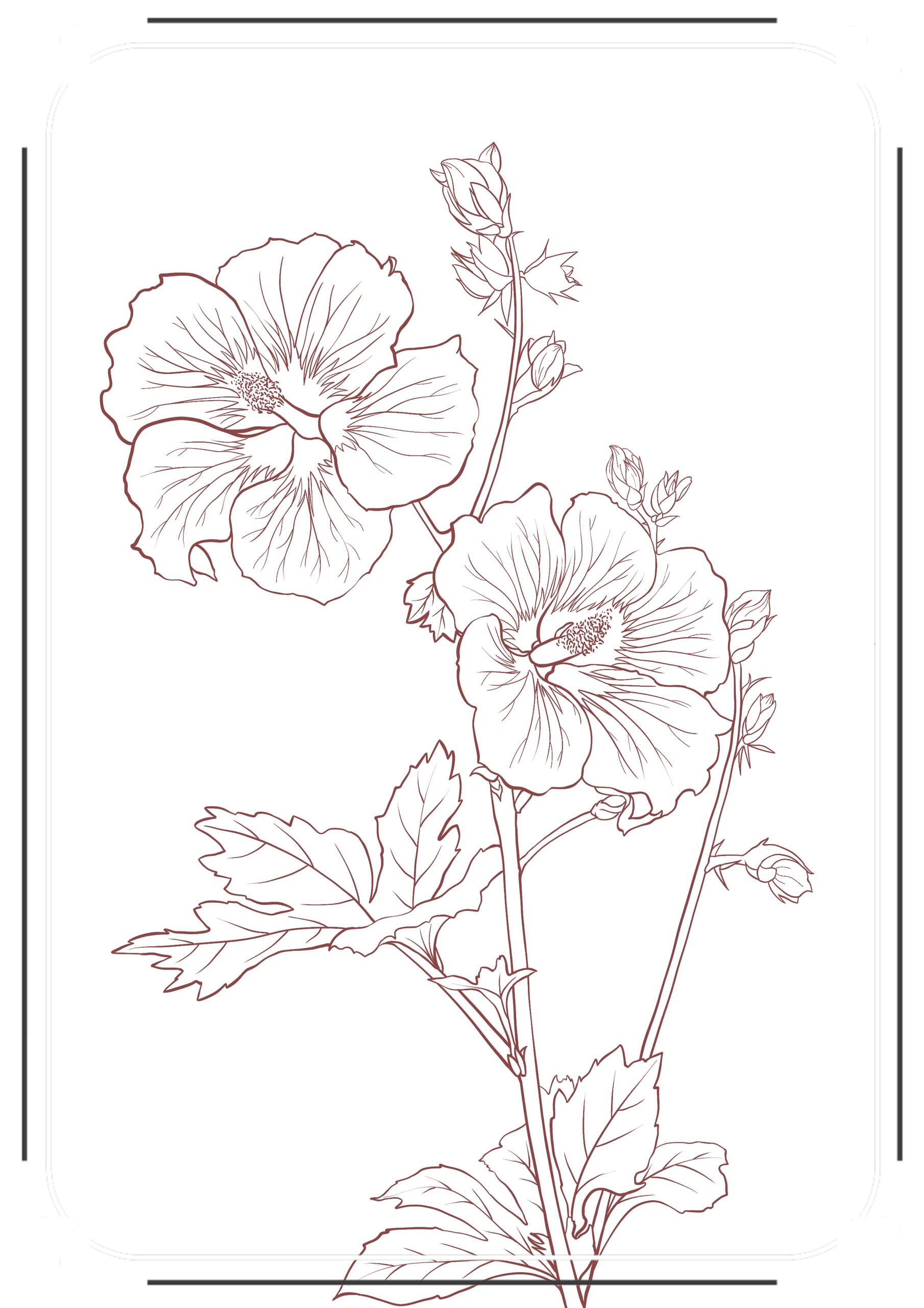 木槿花的温柔:在暮色中静静落下的木槿花,每一次的凋零,都是为下一次