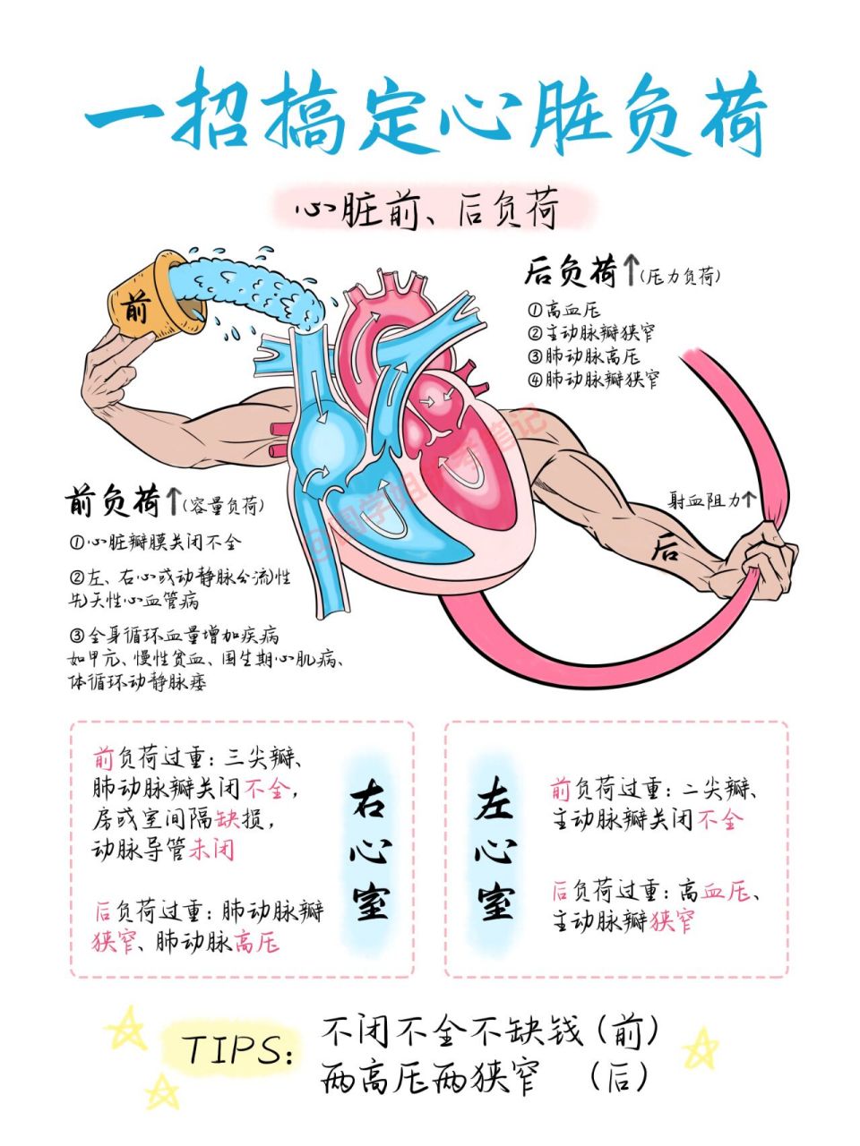82前负荷(容量负荷) ①心脏瓣膜关闭不全; ②