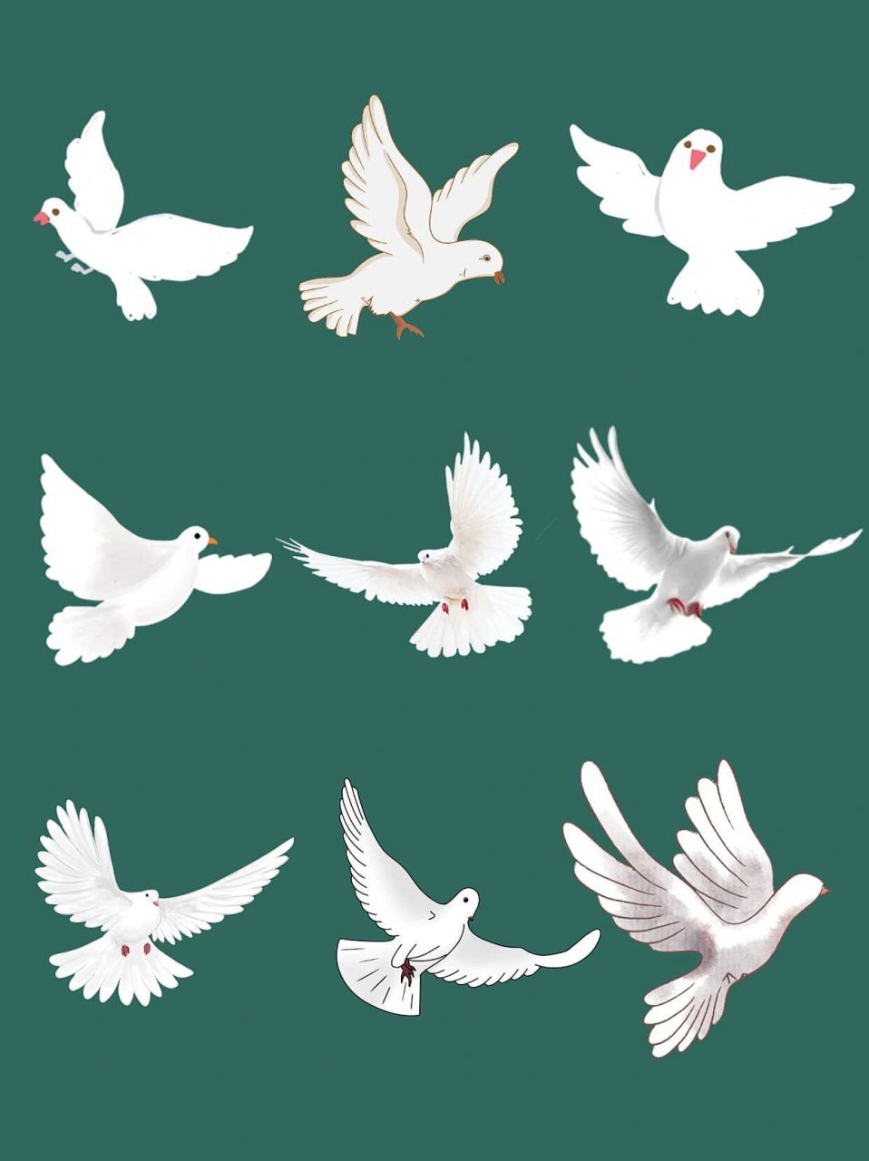 白鸽92手绘鸽子展翅高飞|png素材 hello～,宝子们晚上好吖 今天给