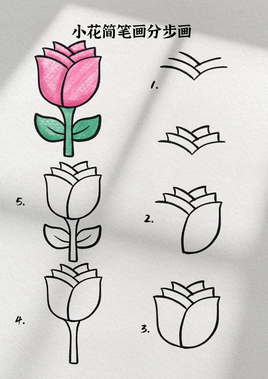 小花简笔画 春天到了百花齐放,今天跟着老师一起来画春天里可可爱爱的