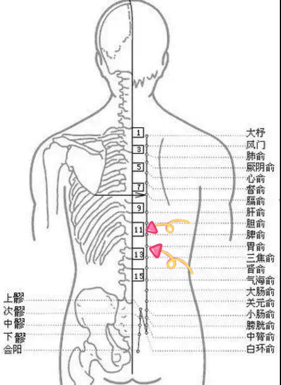 胃痛灸哪个位置图图片