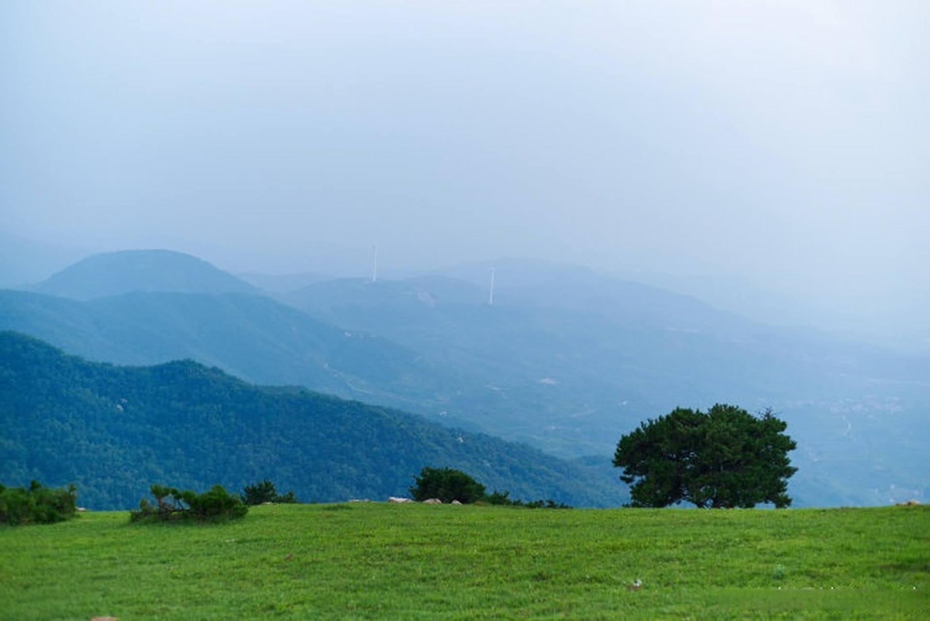 体验# #城市巡游记# #美丽中国美好生活# 潍坊临朐沂蒙坝上云中草原