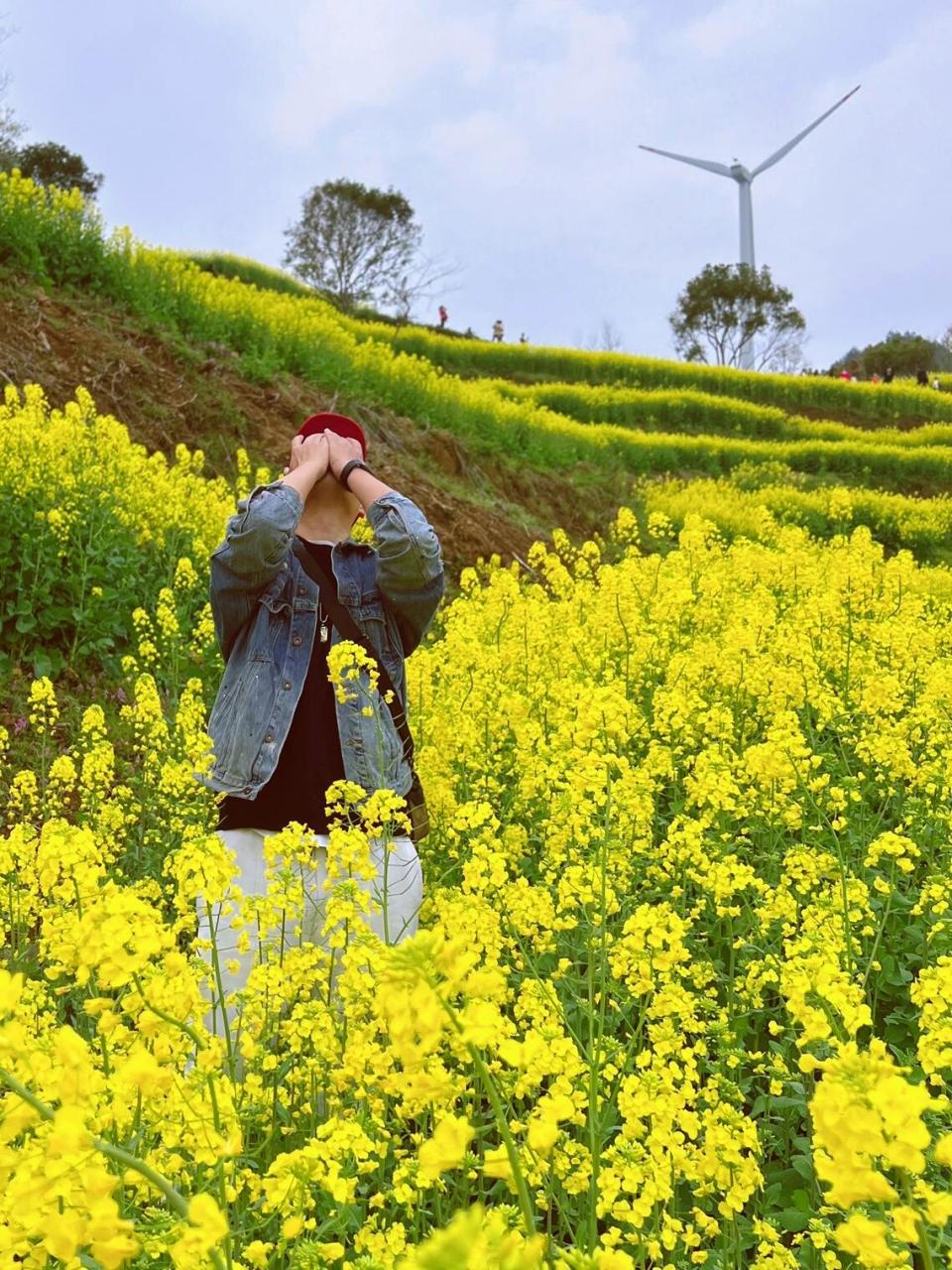 象山油菜花基地图片