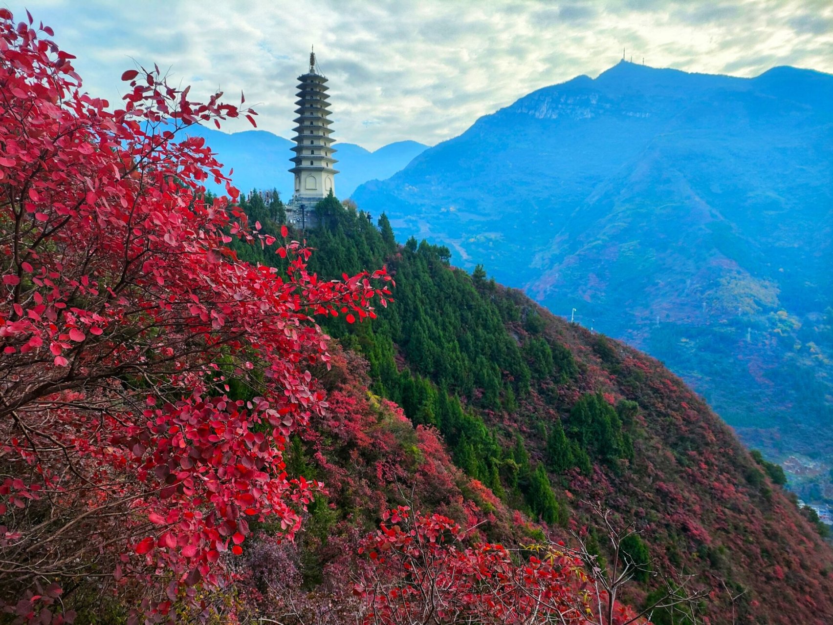 巫山红叶 文峰景区红叶(附免门票攻略)      满山红叶似彩霞  彩霞年