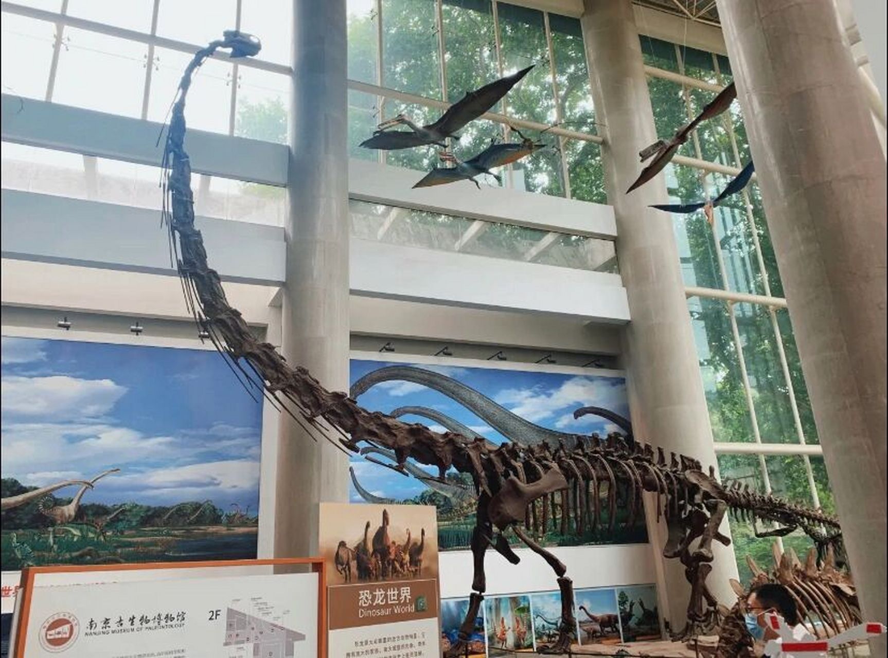 南京古生物博物馆|南京0元遛娃 免费的6015恐龙化石6015古