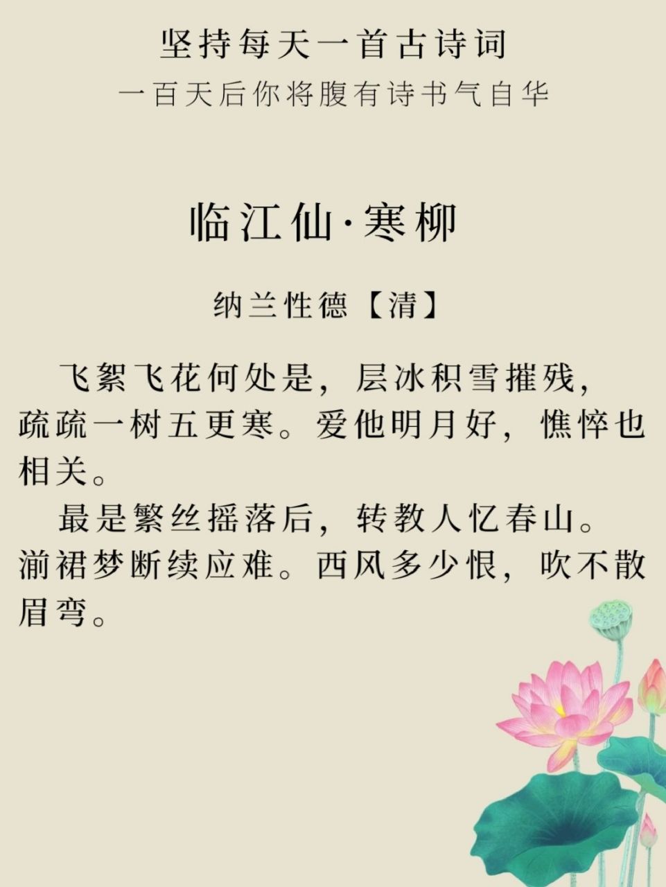 每日一诗词|98《临江仙·寒柳》纳兰性德 92译文: 柳絮杨花随风飘