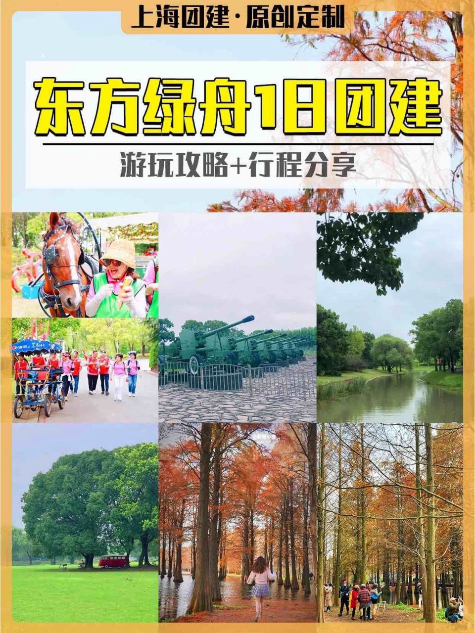 上海团建东方绿舟1日游玩攻略 行程分享 94上海团建 户外团建 团建