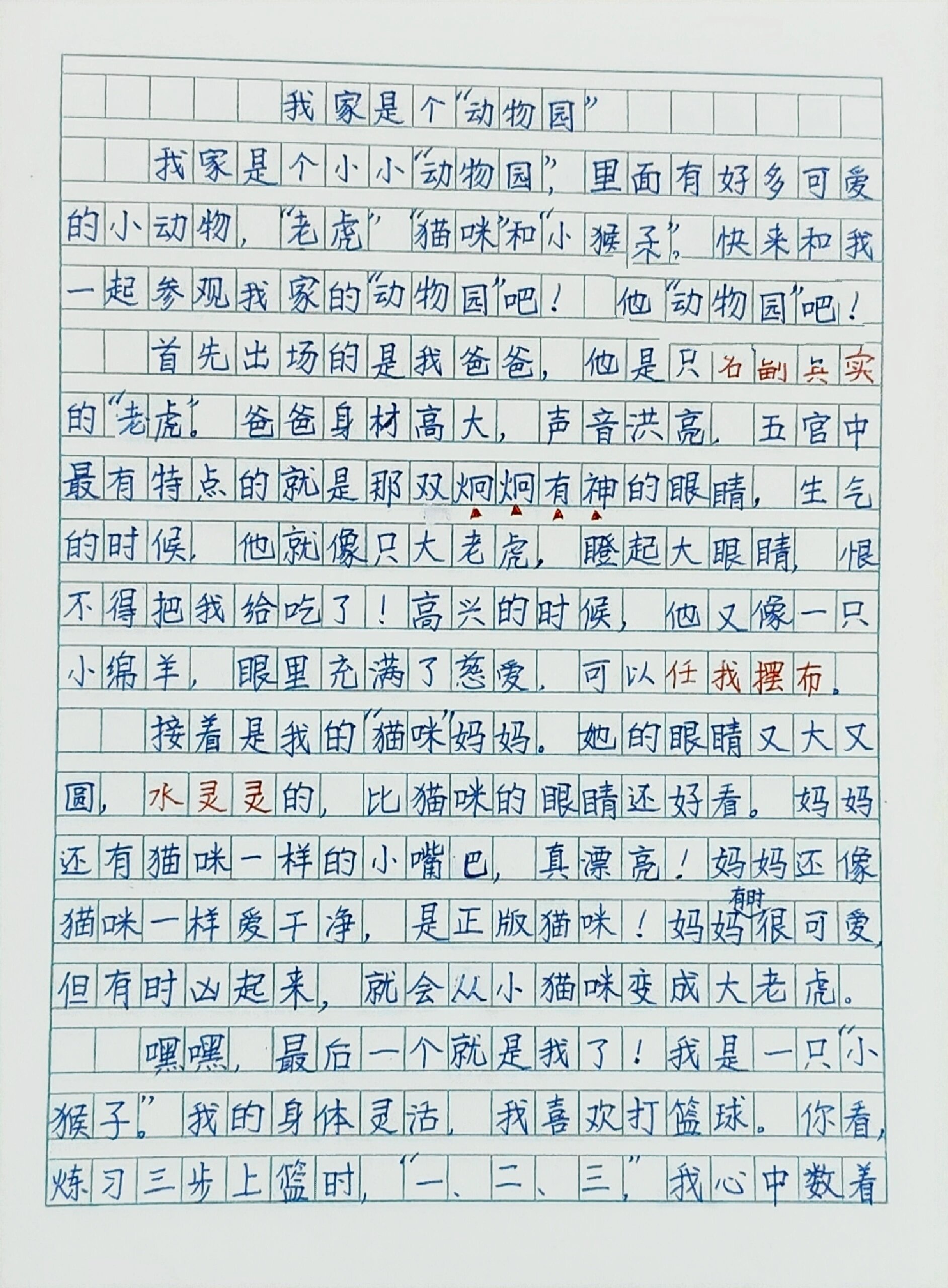 动物之家作文图片