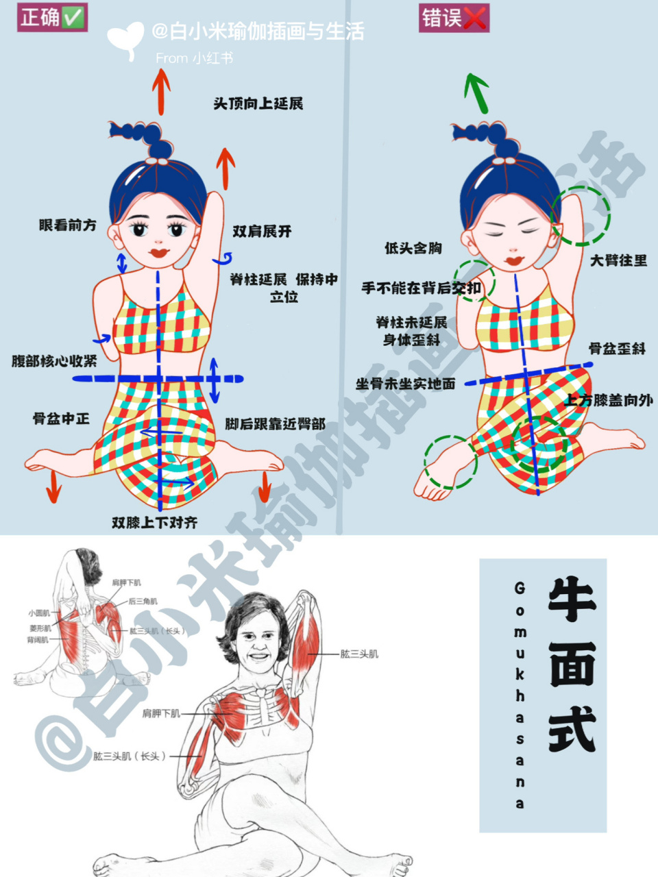 牛面式瑜伽动作讲解图片