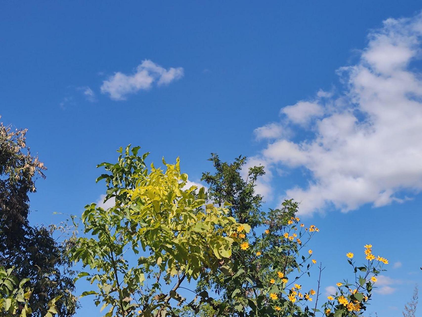 秋日生活打卡季 雨后天空,碧空如洗,白云朵朵,好一幅蓝图.