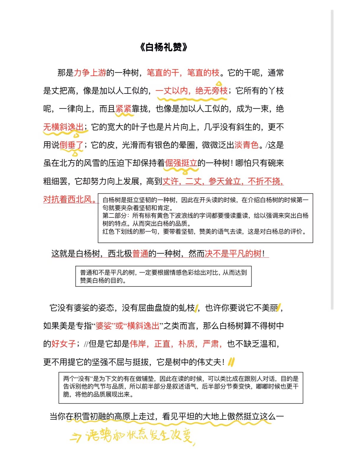 白杨礼赞内容概括