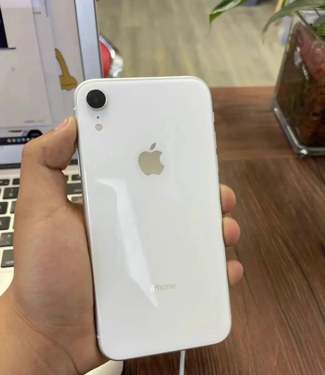 苹果xr iphone xr 国行 白色128g有包装全网通 苹果xr iphone xr 白色