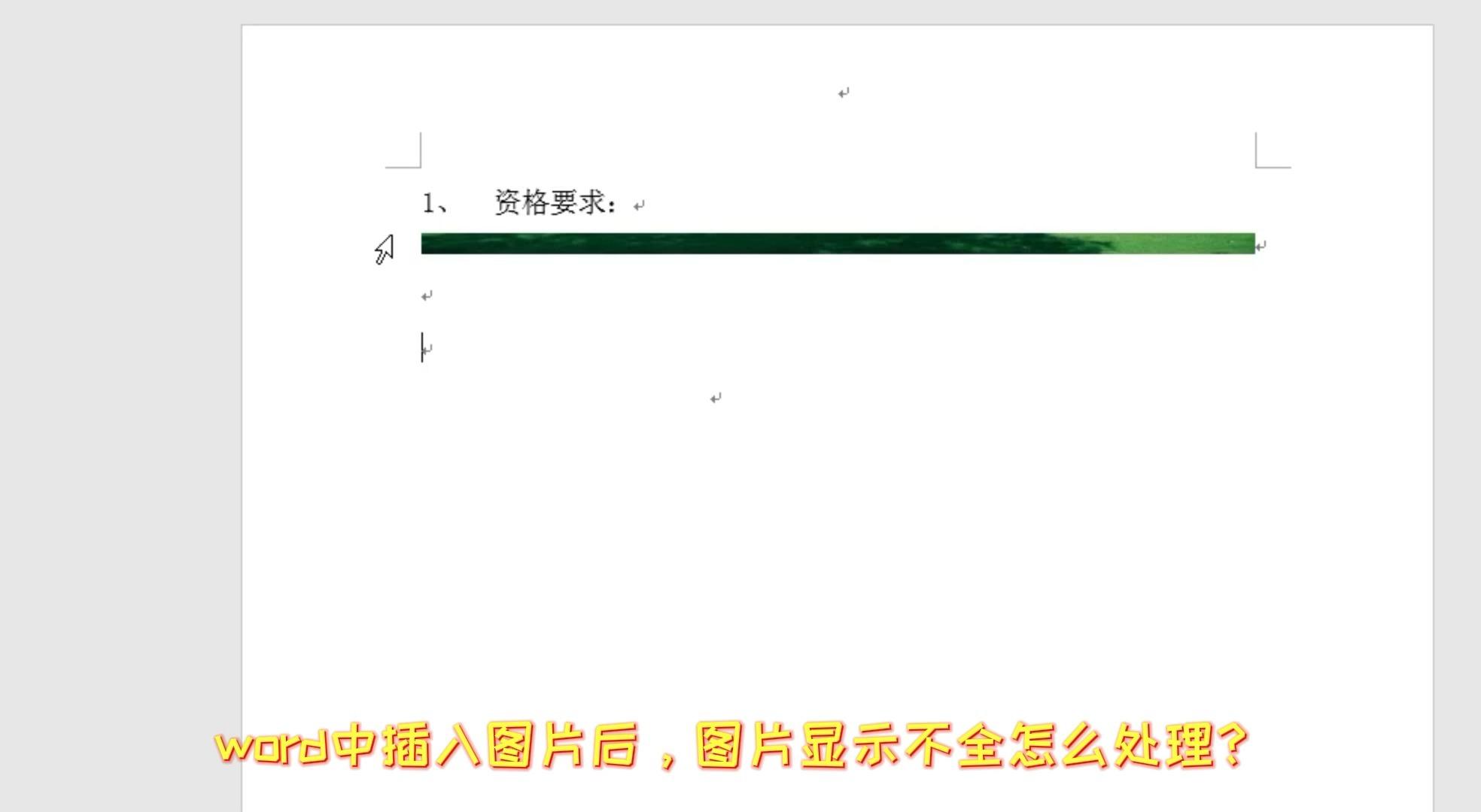 word图片插入后不显示怎么回事
