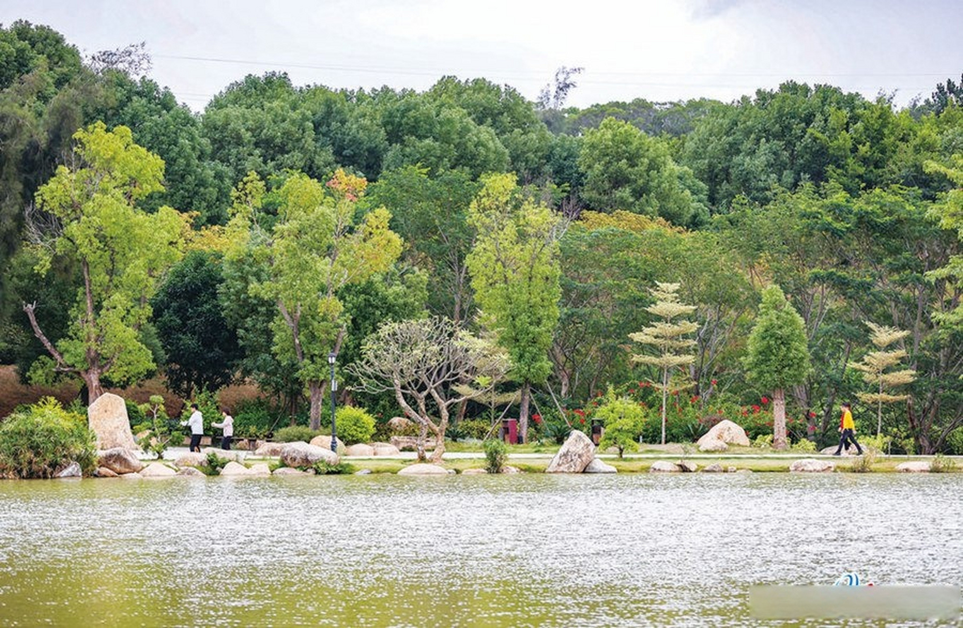 晋江八仙山风景区图片